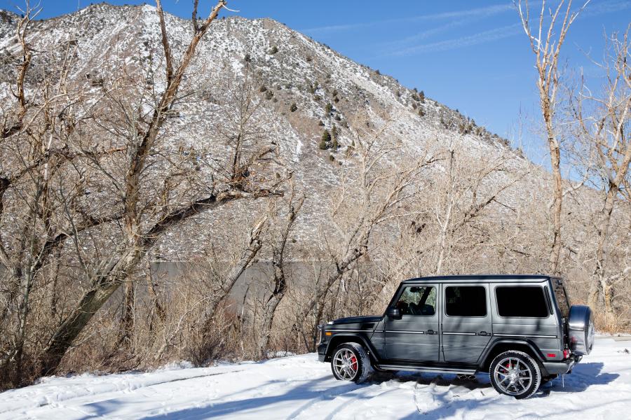  Mercedes-AMG G65 (W463) 2016 года  (NA) (фото 30 из 40)